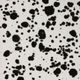 CG-977 INK SPOTS